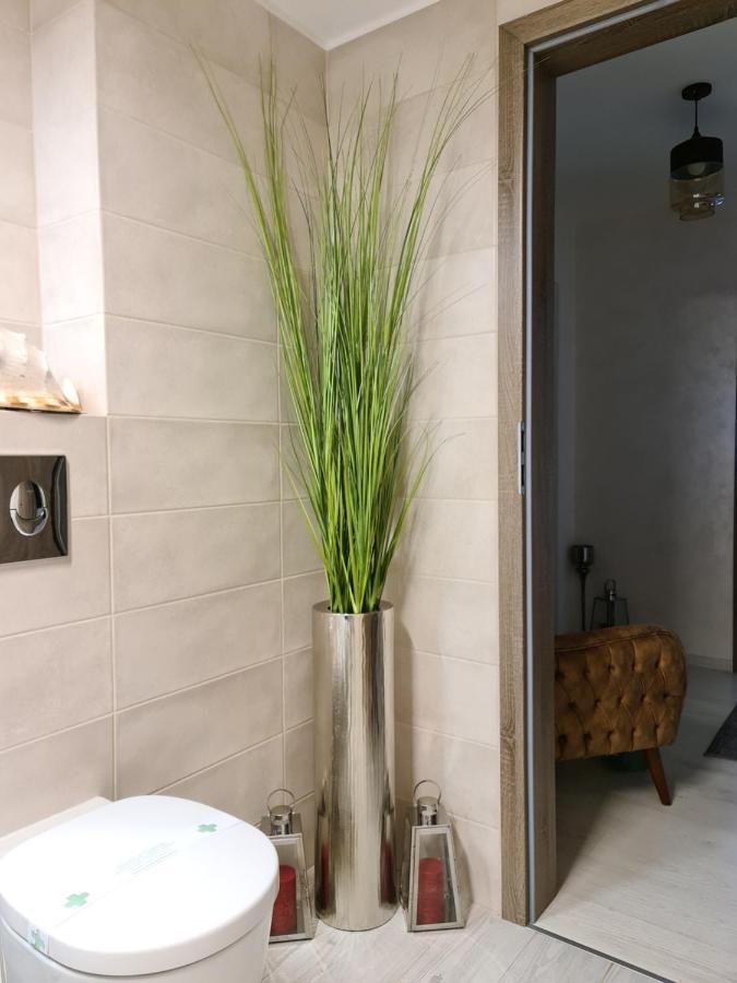 Apartment Alonisos Lux Braşov Dış mekan fotoğraf