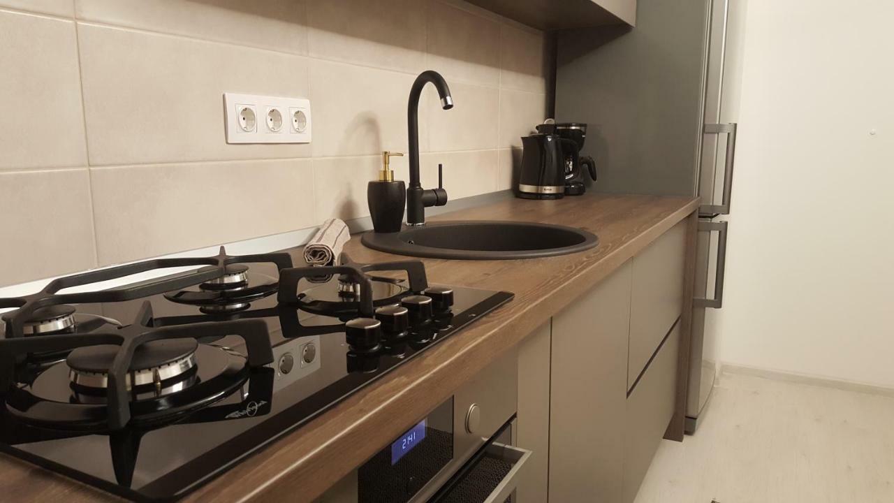 Apartment Alonisos Lux Braşov Dış mekan fotoğraf