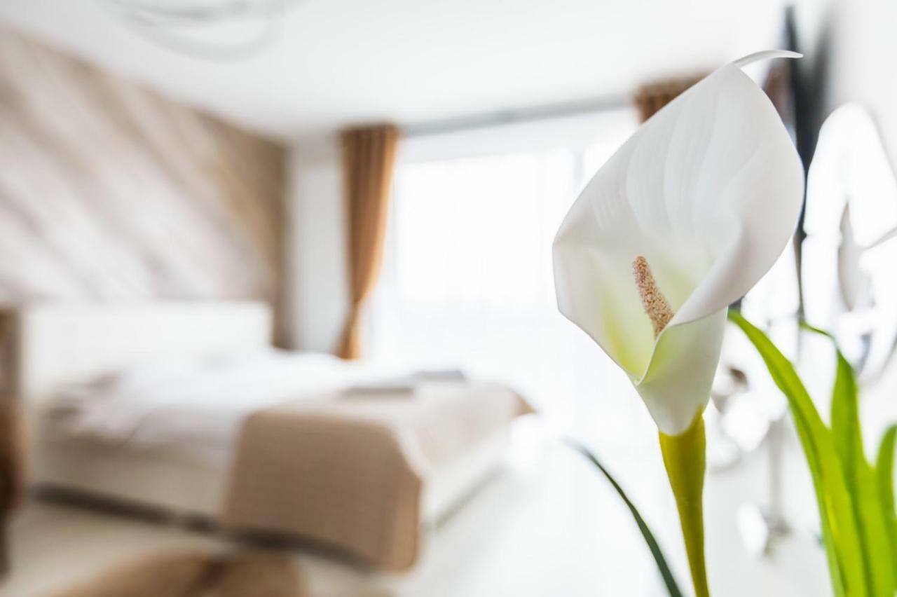 Apartment Alonisos Lux Braşov Dış mekan fotoğraf
