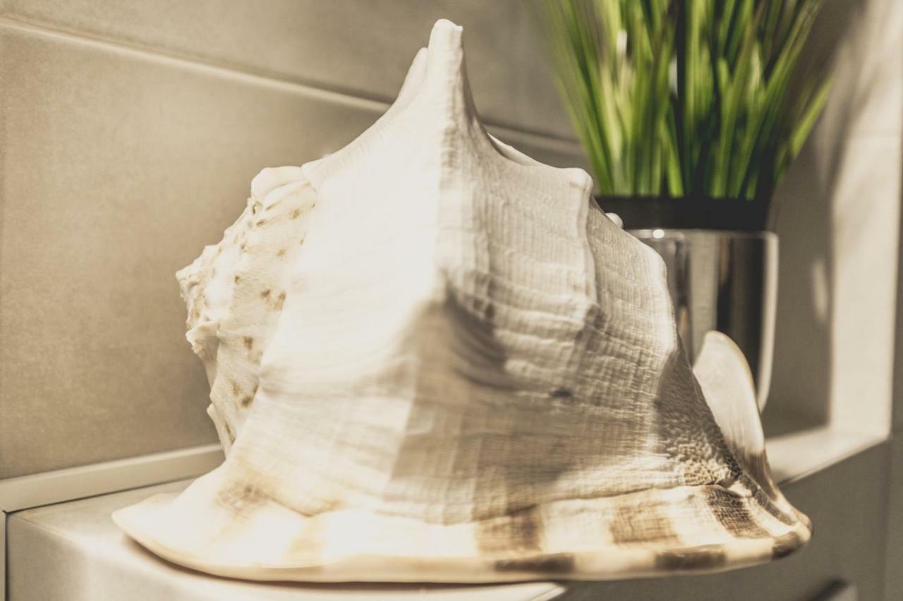 Apartment Alonisos Lux Braşov Dış mekan fotoğraf